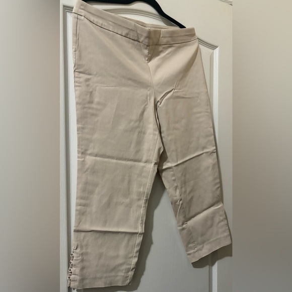 Counterparts Beige Flat Front Cropped Pants with beading on ankles - Picture 2 of 4